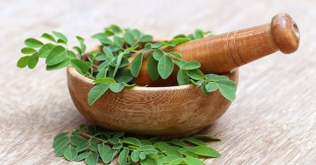 Moringa – właściwości, zastosowanie i przeciwwskazania