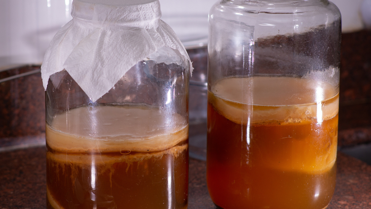 Kombucha, czyli fermentowana herbata, ma lekko kwaśny smak i delikatne musuje, dzięki czemu gasi pragnienie i orzeźwia