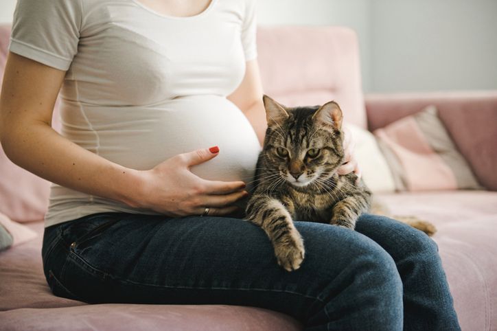 "Będąc w ciąży nie można mieć kota"
