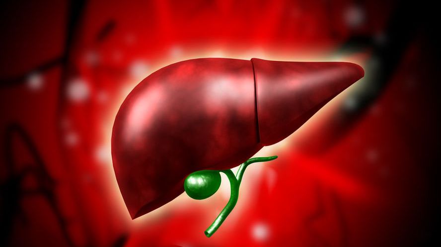 Funkcje wątroby, w ogromnym skrócie, można sprowadzić do czynności detoksykacyjnych, metabolicznych, filtracyjnych i magazynujących