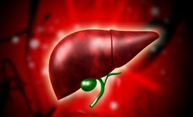 Funkcje wątroby – co warto wiedzieć?