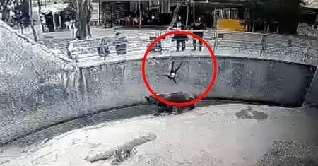 Uzbekistan. Kobieta wrzuciła 3-letnią córeczkę do wybiegu z niedźwiedziem