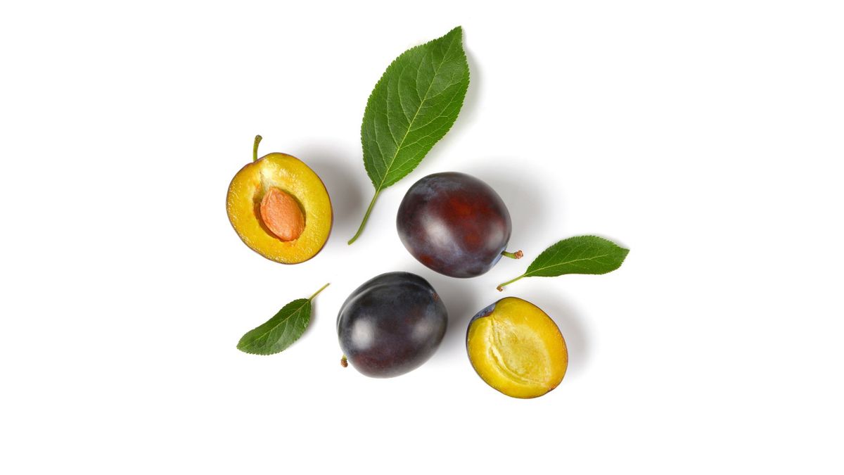 Olej z pestek śliwki