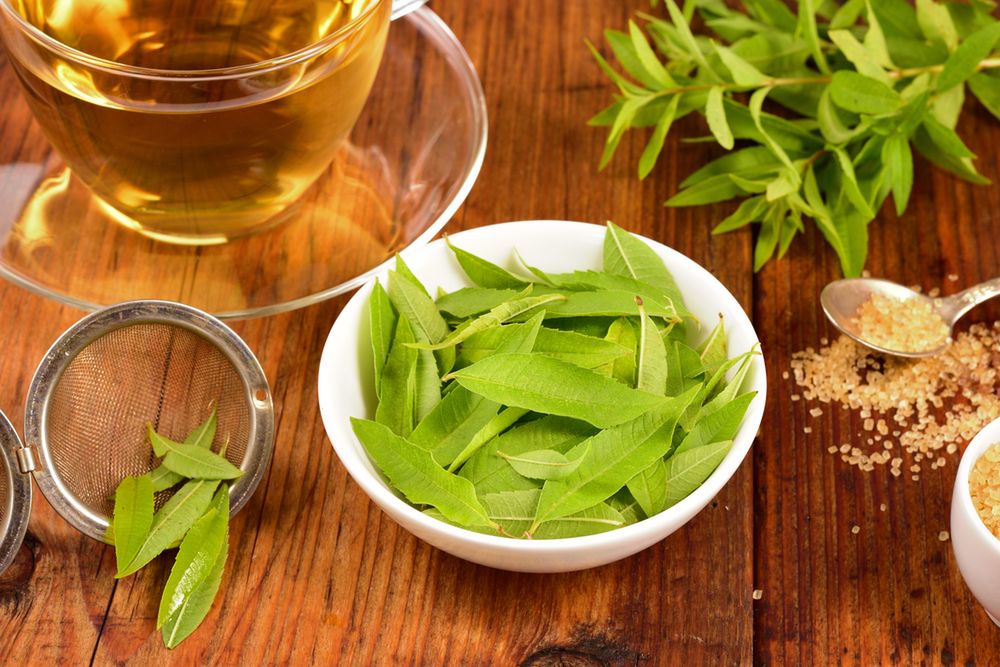 Właściwości werbeny cytrynowej