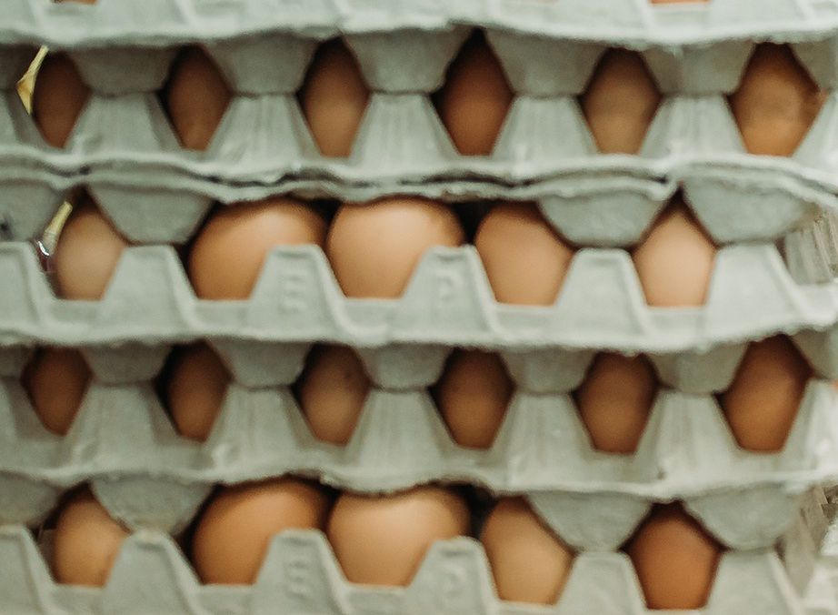 GIS: Wycofanie jaj ściółkowych. Przyczyną wykrycie pałeczek salmonelli