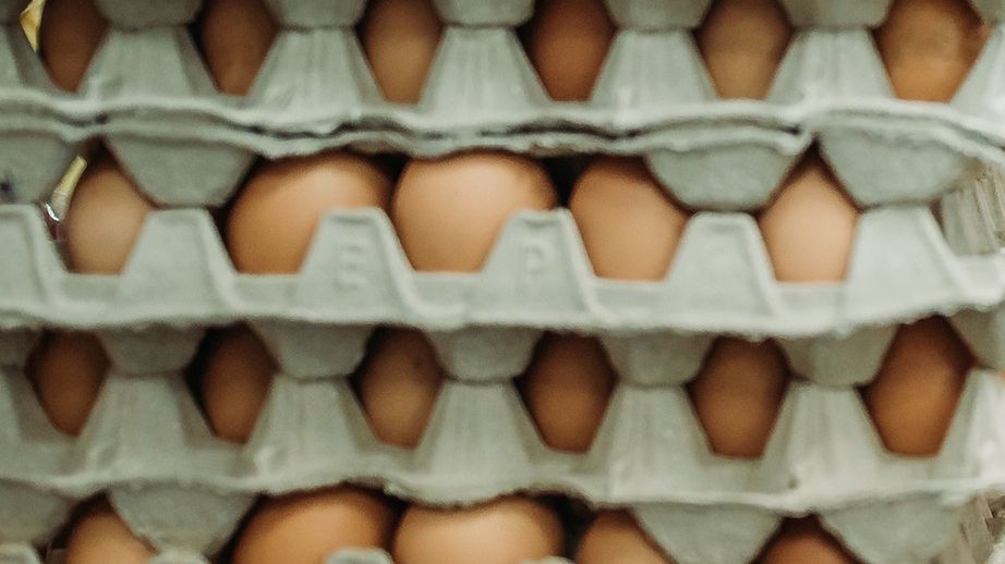 GIS: Wycofanie jaj ściółkowych. Przyczyną wykrycie pałeczek salmonelli
