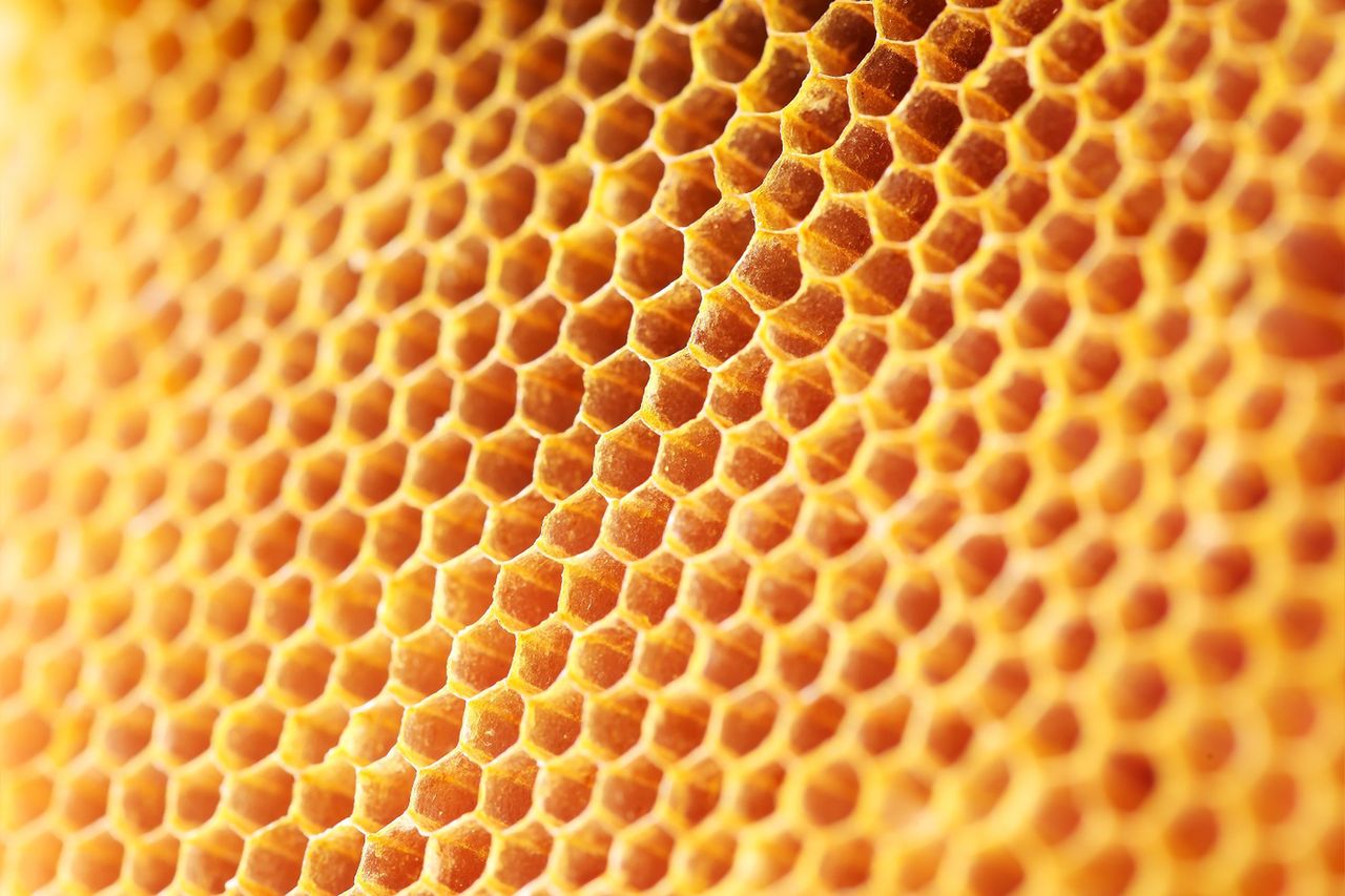 5 najzdrowszych rodzajów miodu (WIDEO)