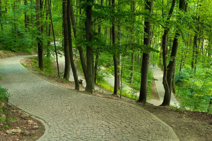 Góra Parkowa w Krynicy-Zdroju. Miejsce pełne rodzinnych atrakcji
