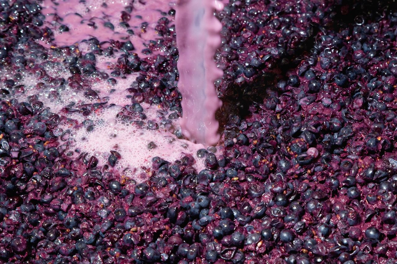 Najlepsze owoce dla jelit. Podkręcą metabolizm i obniżą cholesterol