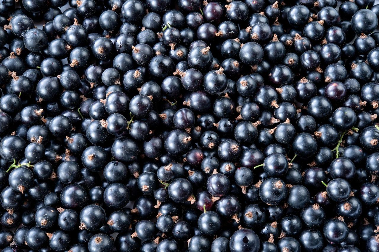 Dieta na dobry słuch? Te produkty zmniejszają ryzyko pogorszenia słuchu