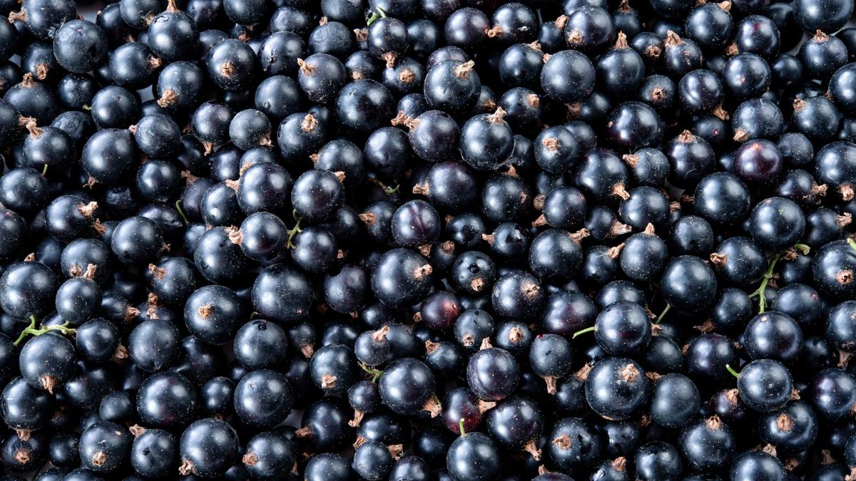 Czy istnieją produkty, które mogą naturalnie poprawić jakość słuchu?