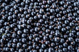 Dieta na dobry słuch? Te produkty zmniejszają ryzyko pogorszenia słuchu