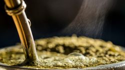 Czy yerba mate może szkodzić zdrowiu? Eksperci ostrzegają przed ryzykiem nowotworów