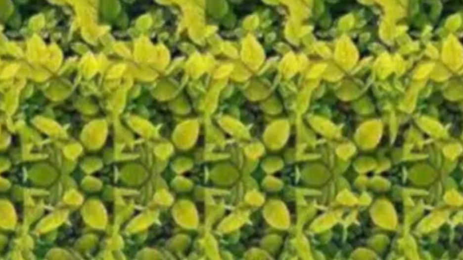 Widzisz tu żyrafę? Podobno tylko 1 proc. osób daje radę