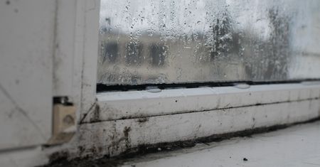 Rozłóż na parapecie. Tani sposób na uciążliwy problem