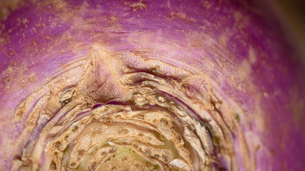 Zapomniane warzywo zastąpi ziemniaki. Ma niewiele kalorii, chroni serce i zapobiega nowotworom