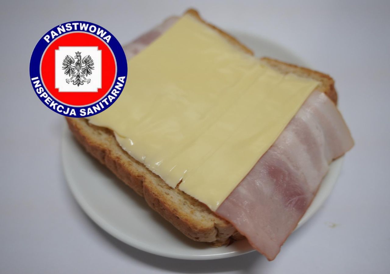 Pilne ostrzeżenie z GIS. Ser do zwrotu lub utylizacji