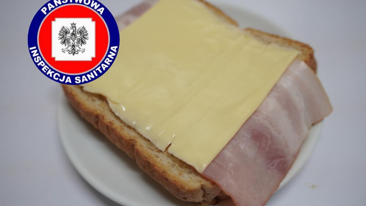 Niebezpieczna bakteria wykryta w serze. GIS apeluje o ostrożność