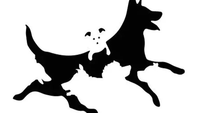 Psychotest: Jakie jest twój wiek mentalny