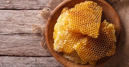 Propolis - skład, działanie, przepis na maść i nalewkę z propolisu