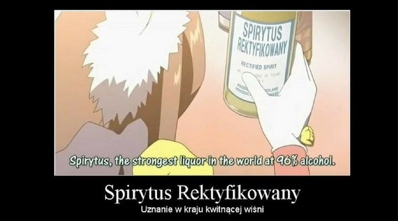 Spirytus Rektyfikowany