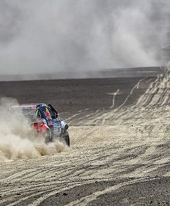 Hilux zdominował Dakar. Małysz szczęśliwy!