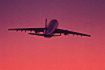 Upadek linii lotniczych: 7 tys. pasażerów w kłopotach