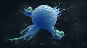 Makrofagi – rodzaje, budowa i funkcje
