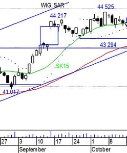 Gwałtowna wyprzedaż na WGPW