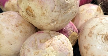 Brukiew – warzywo PRL-u, które dziś może pomóc jelitom, odporności i portfelowi