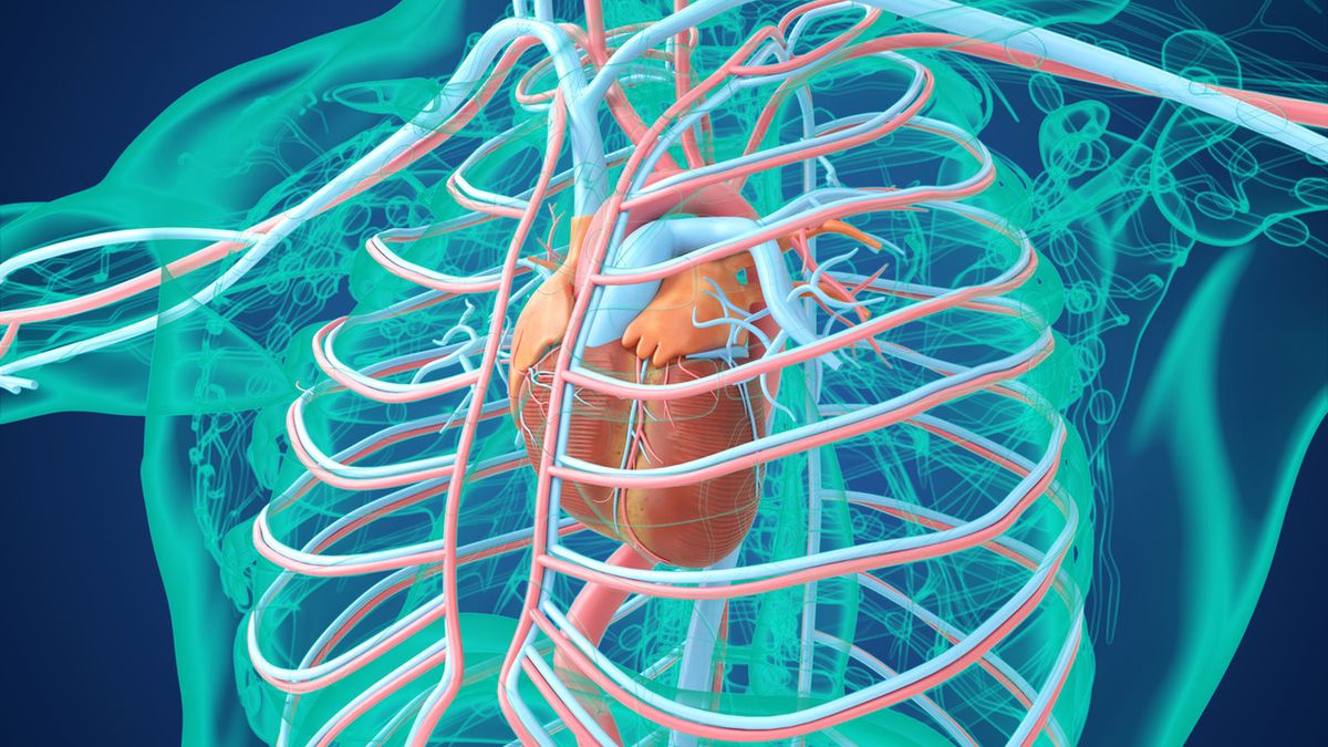 Kontrapulsacja wewnątrzaortalna to metoda wspomagania krążenia.
