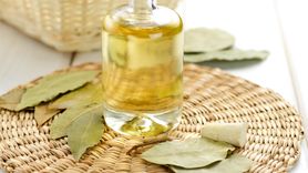 Właściwości oleju z liści laurowych. Dobry dla zdrowia i urody (WIDEO)