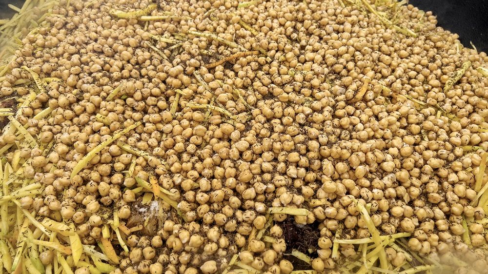 Ciecierzyca i imbir to dwa produkty, które ratują stawy