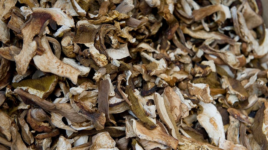 Grzyby stosowane są w leczeniu wielu chorób