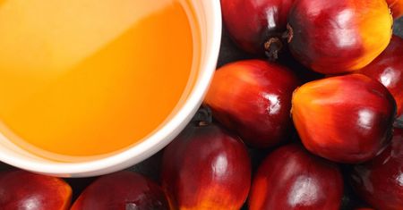 Olej palmowy jest w wielu produktach, które jesz codziennie. "To produkt szkodliwy"