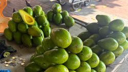 Jedz nawet codziennie, ale nie przesadzaj z ilością. Zdrowy owoc może szkodzić