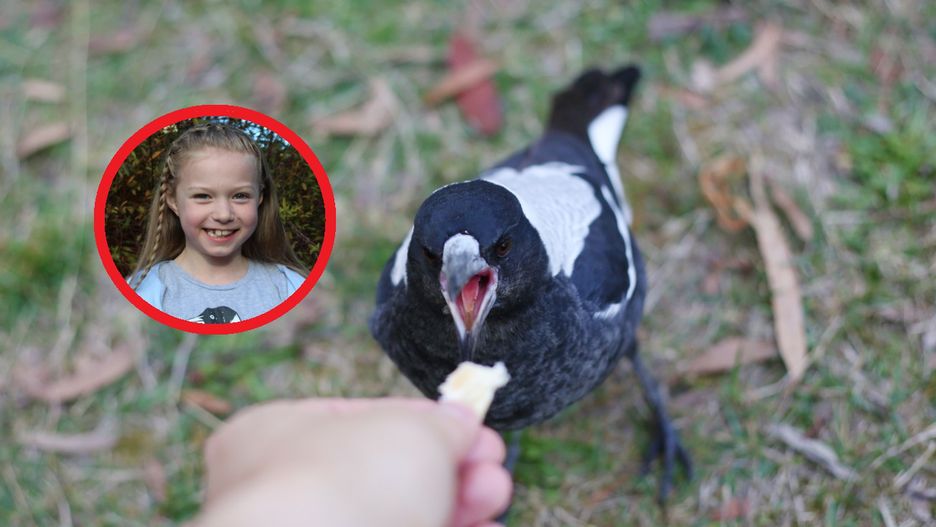 Szkolny eksperyment 8-latki. O jej odkryciu mówi cały świat