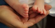 Jakie imiona najczęściej nadawano w Poznaniu w 2022 roku?