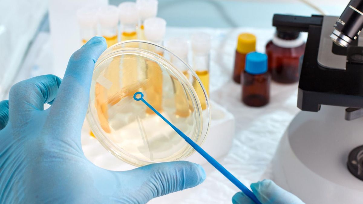 Białko w moczu u niemowląt