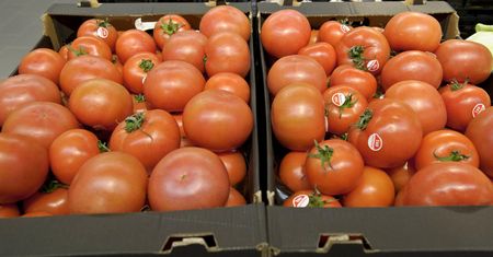 Przebadali pomidory z popularnych marketów. Wskazali niekwestionowanego zwycięzcę