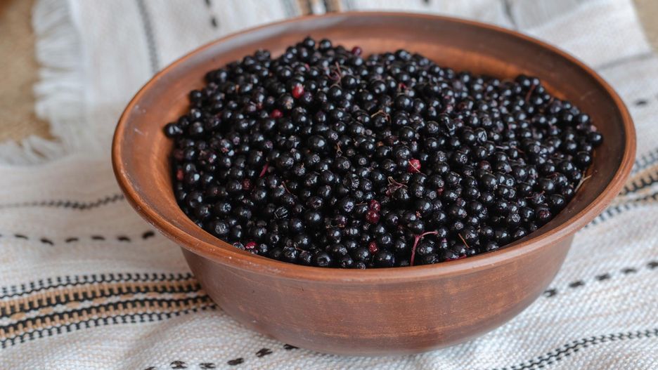 Zdrowie w małych owocach. Naturalne wsparcie odporności i metabolizmu