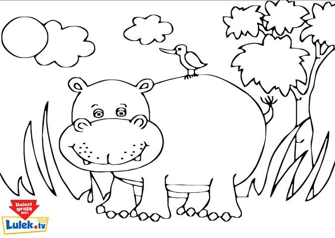 Hipopotam - kolorowanka