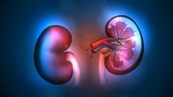 Oczyść i zadbaj o swoje nerki