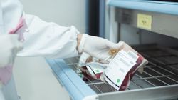 "Złota krew". Najrzadsza grupa krwi, mają ją 43 osoby na świecie