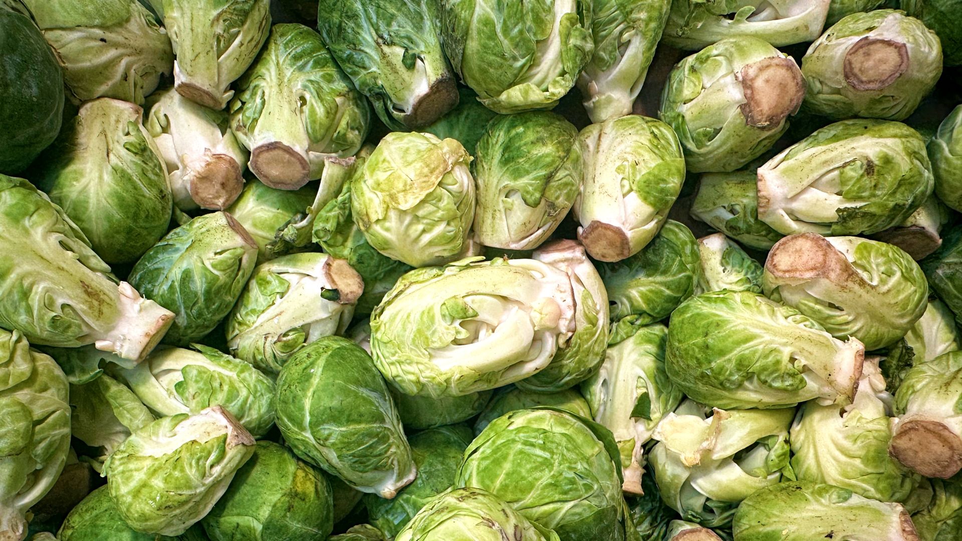 Brukselka, choć jest często niedoceniana, może stać się prawdziwą gwiazdą kuchni, jeśli odpowiednio ją przygotujemy.