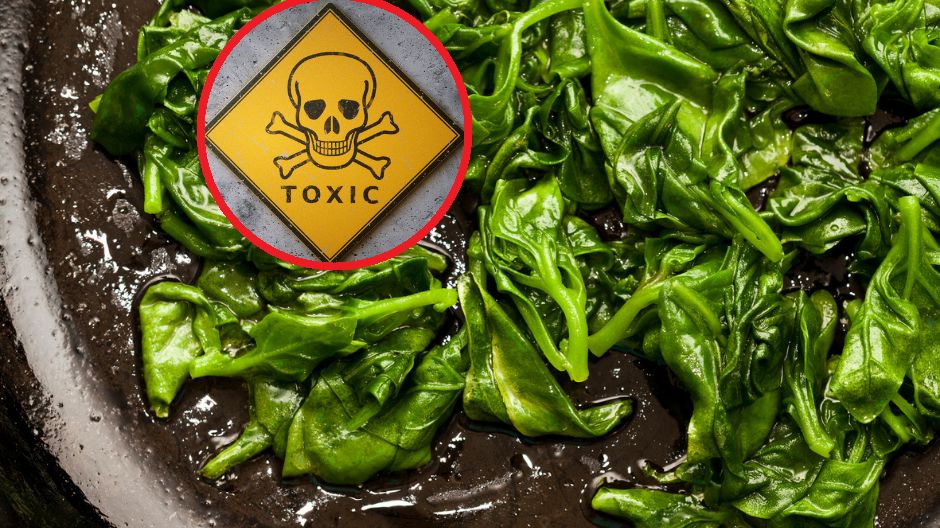 Badania wykazały, że aż 75 proc. wszystkich świeżych produktów zawiera pozostałości potencjalnie szkodliwych pestycydów