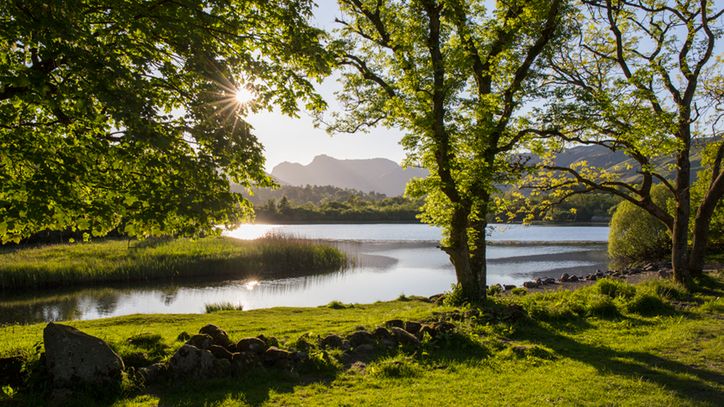 Rzeki. Podział rzek, podstawowe pojęcia
