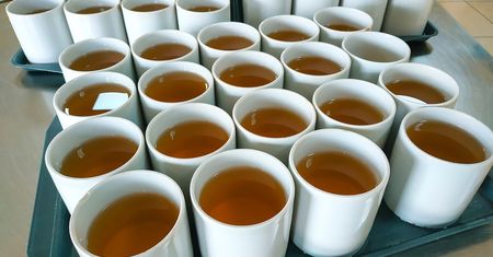 Wsyp do herbaty zamiast cukru. Kilogramy zaczną spadać