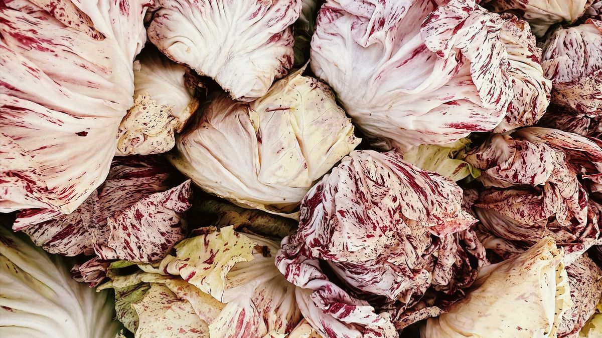 Radicchio – warzywo o niezwykłych właściwościach