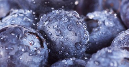 Jagody spowalniają rozwój choroby Alzheimera